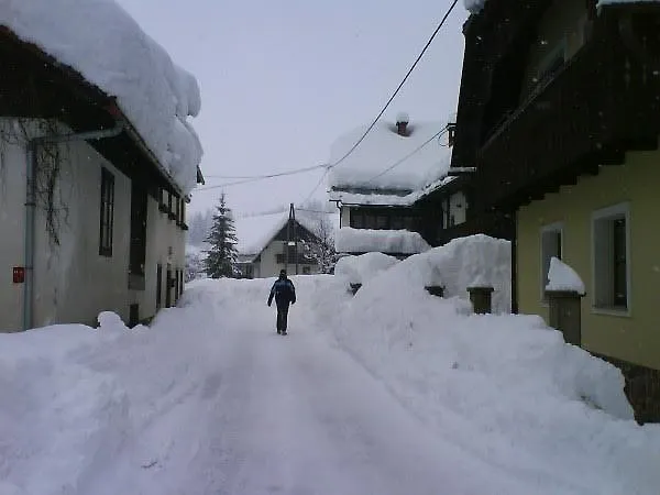 Danijela & Gregor * Rateče